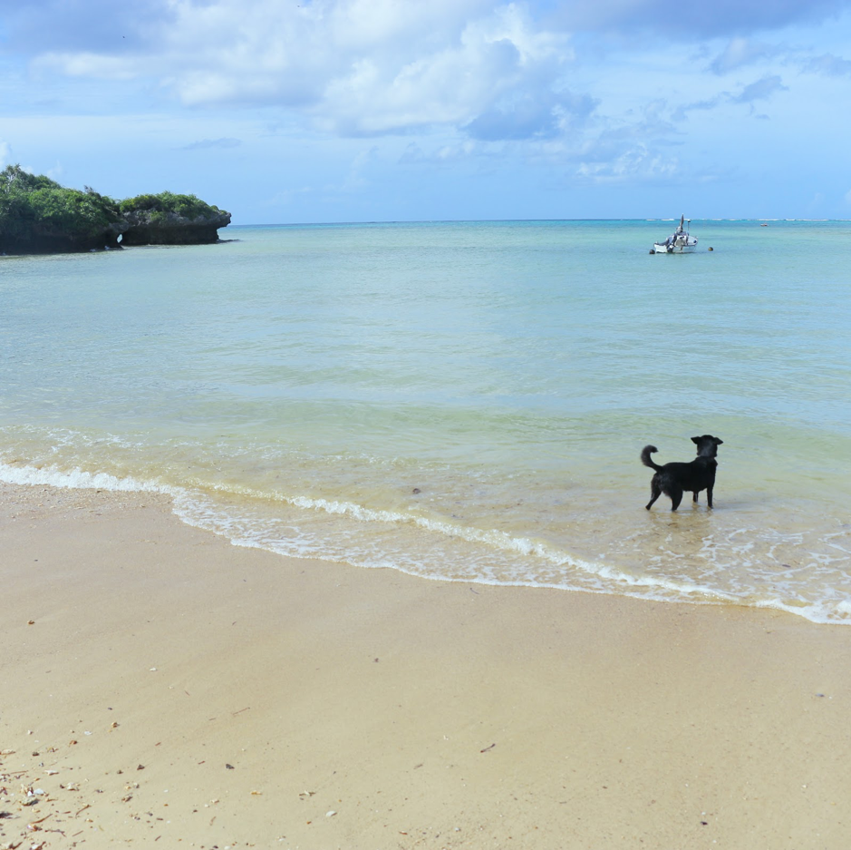 2. Okinawa.png