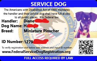 federal service dog registration