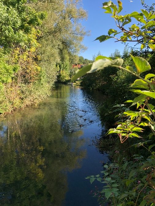 Ruhe und Entspannung an unserem Hausfluss Dorfen