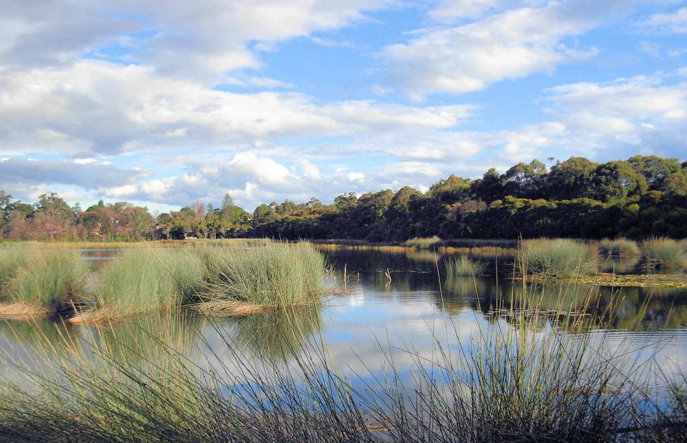 Glenbrook Lagoon-Original water supply for the trains travelling up Lapstone  Hill via the Zig-Zag railway line.