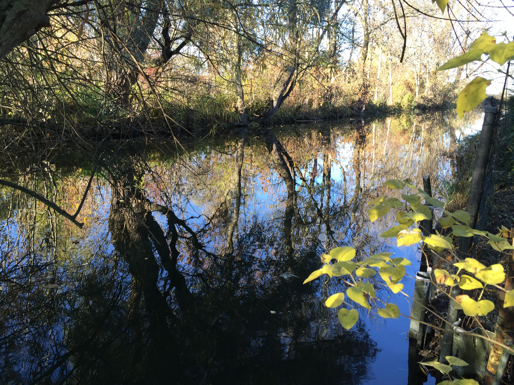 Unser gartenfluss im Herbst