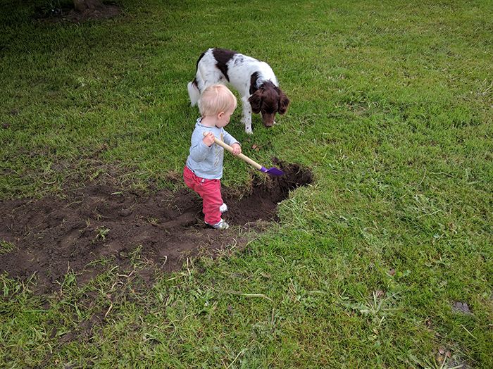 Maren helping Lukas dig for moles