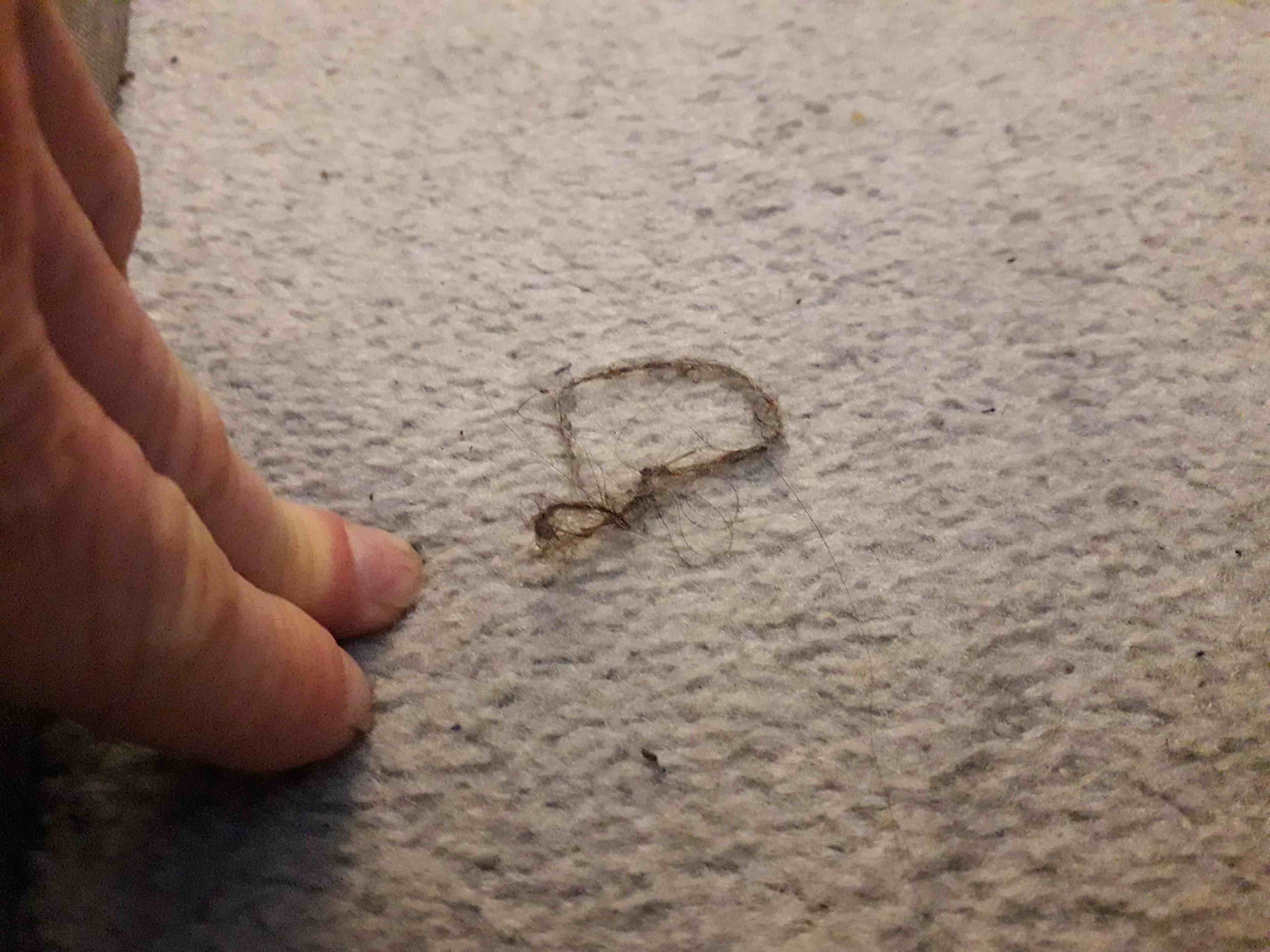 Solved Black mold What would you do? Airbnb Community