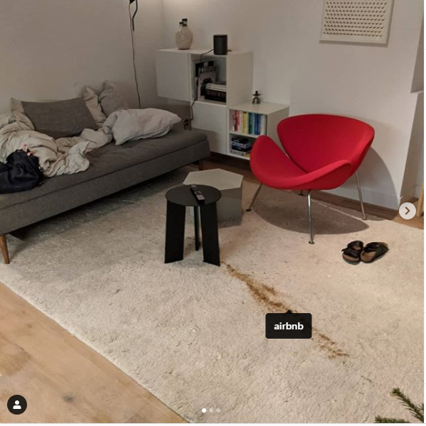 Carpet and sofa that was peed on