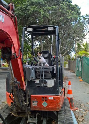 Ok folks, I'm ready for a days digging