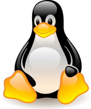 Konvertierung unter Linux