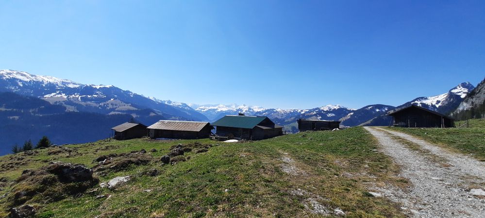 Ramseren mit Blick zum Wildhorn