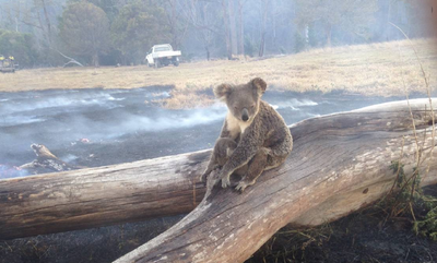 Adelaide hills 4.png