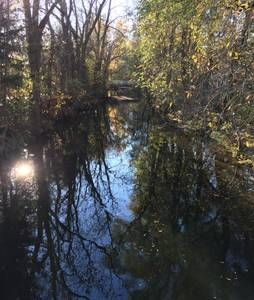 Fluss Dorfen in Schwaig bei Oberding