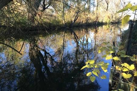 Fluss Dorfen in Schwaig bei Oberding