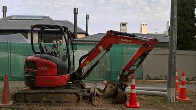 NOTHING BEATS A DIGGER TO GET RATS!!
