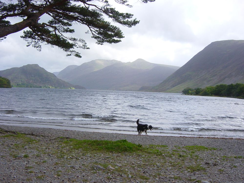 Crummock Water, 12 miles  from home