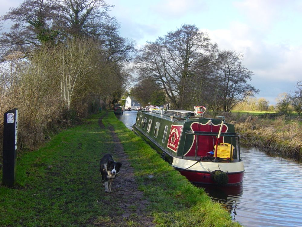 Llangollen Canal, Wrenbury, Cheshire
