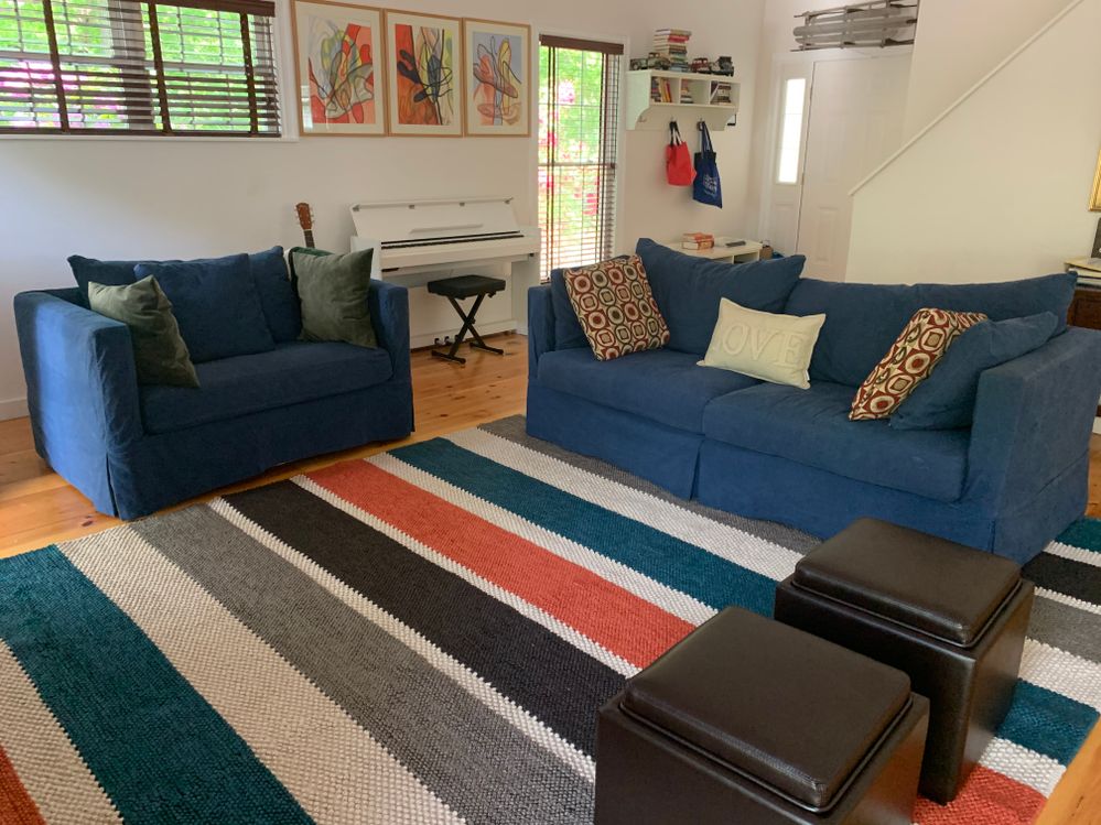 new living room rug and cushions