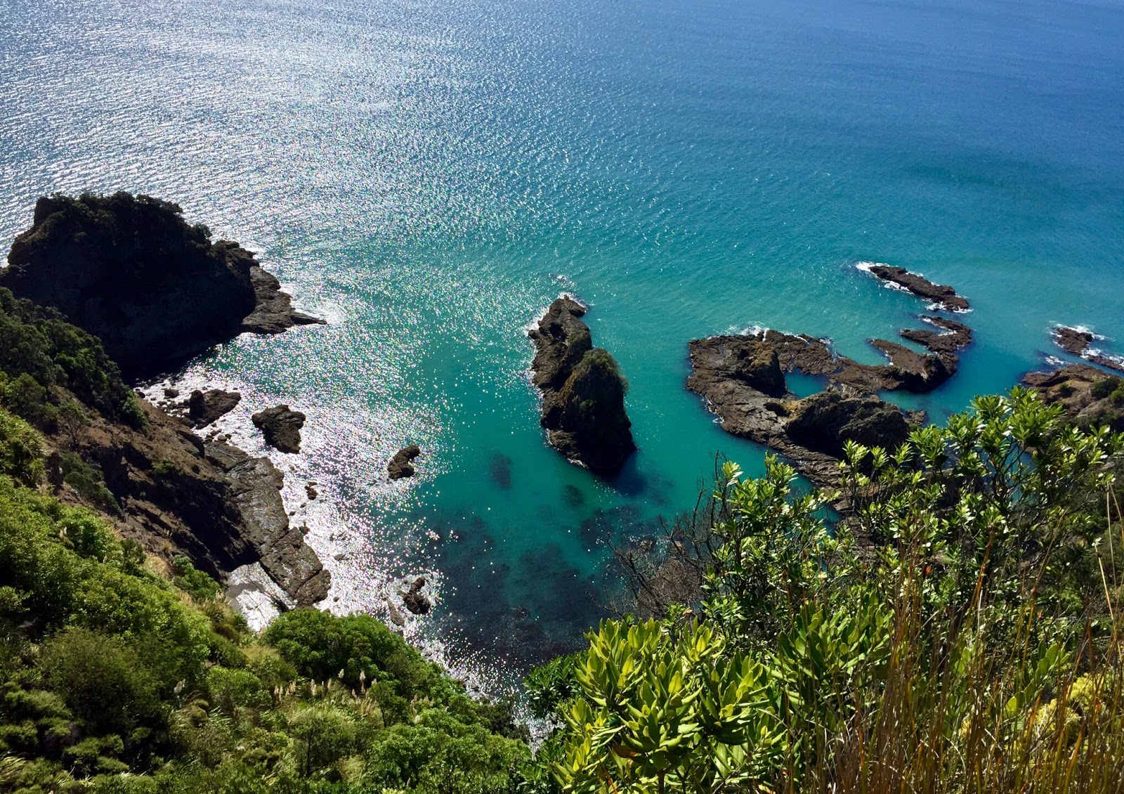 [DISCOVER] Ohope Beach, New Zealand Airbnb Community