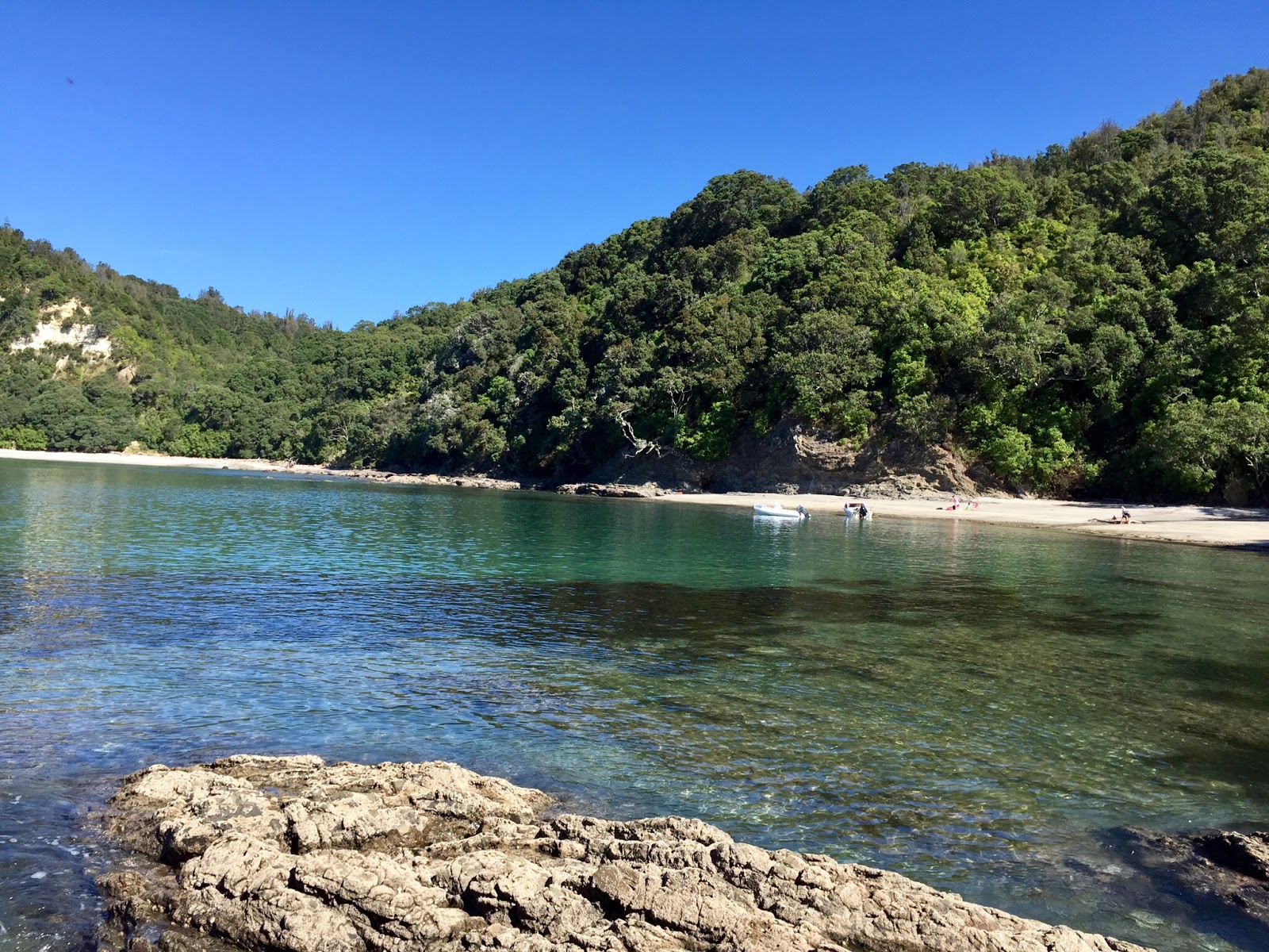 [DISCOVER] Ohope Beach, New Zealand Airbnb Community