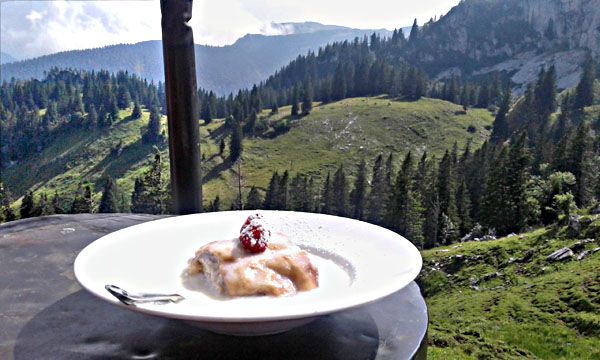 9,80 Euro vor Alpenpanorama