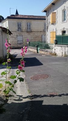 La Chapelle des Pots (2).jpeg