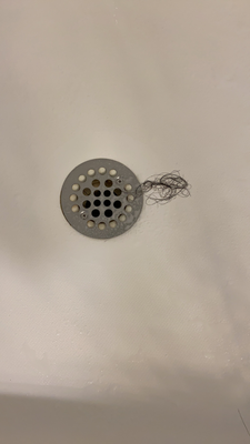 Dary and group shower drains.png