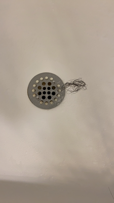 Dary and group shower drains.png