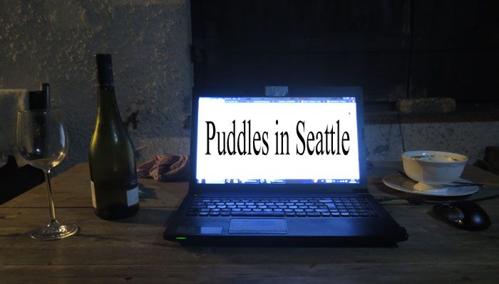 2020-09-17 Puddles in Seattle.jpg