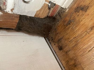 IMG_1271.jpg IMG_1271.jpg