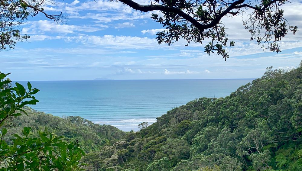 Outlook over the Reserve  towards Ōhope Beach