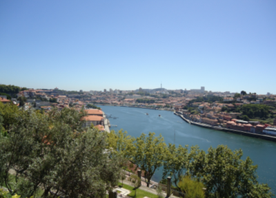 View of the Douro from the Crystal Palace Garden