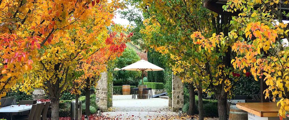 entrance to Golding Wines Cellar door Hahndorf