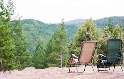 Chairs at Forest View.jpg