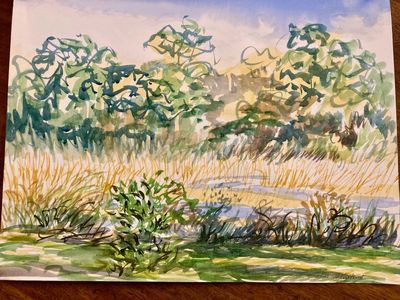 Watercolor from one of my guests at my Airbnb looking out over the marsh.