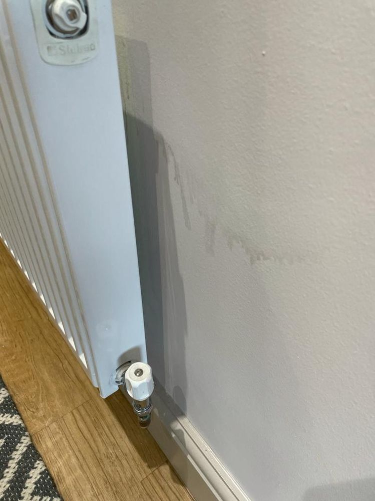 wet hall.jpg wet hall.jpg