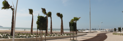 EssaouiraBeachlifeMoro0_0-1631134822865.png
