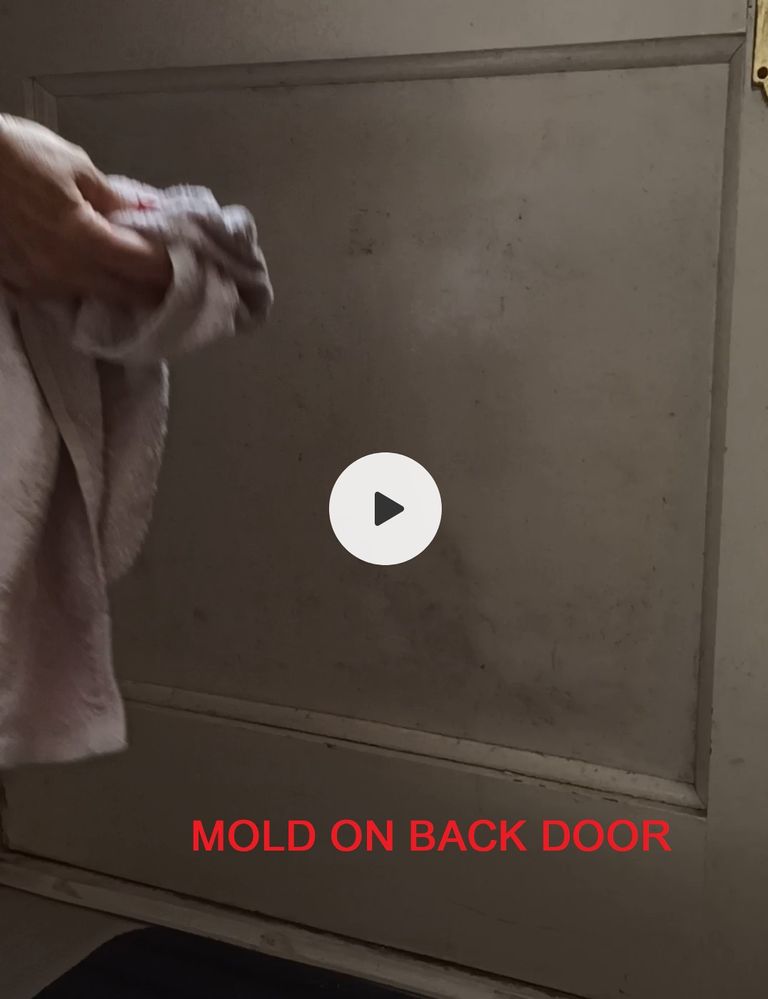 BACK DOOR MOLD 1.jpg