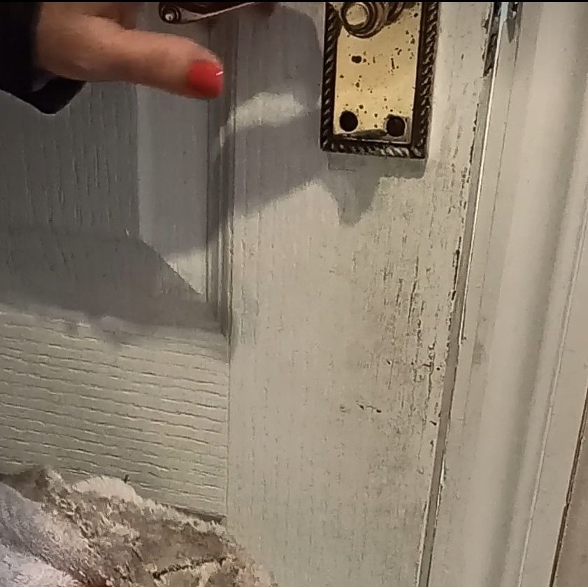 BATHROOM DOOR BEFORE CLEANING.jpg