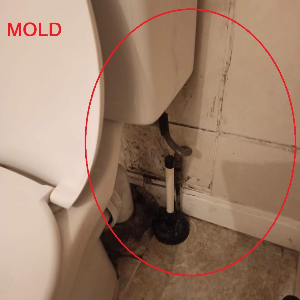 BATHROOM MOLD 4.jpg