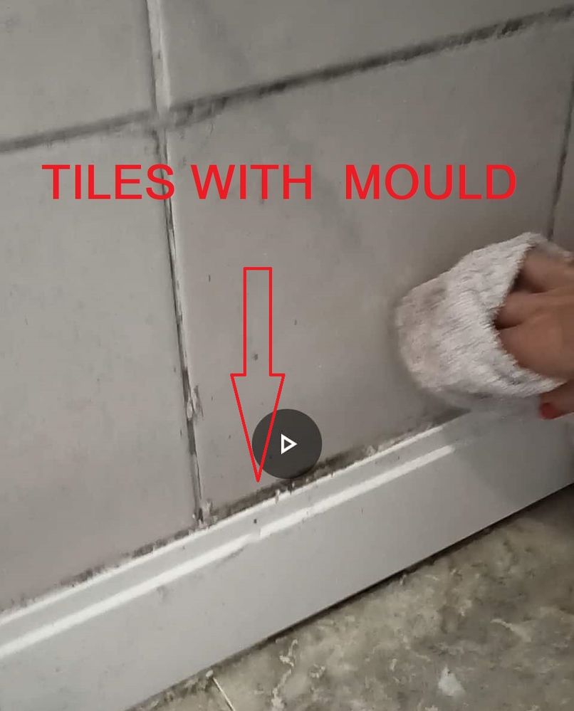 BATHROOM MOLD IS ON.jpg