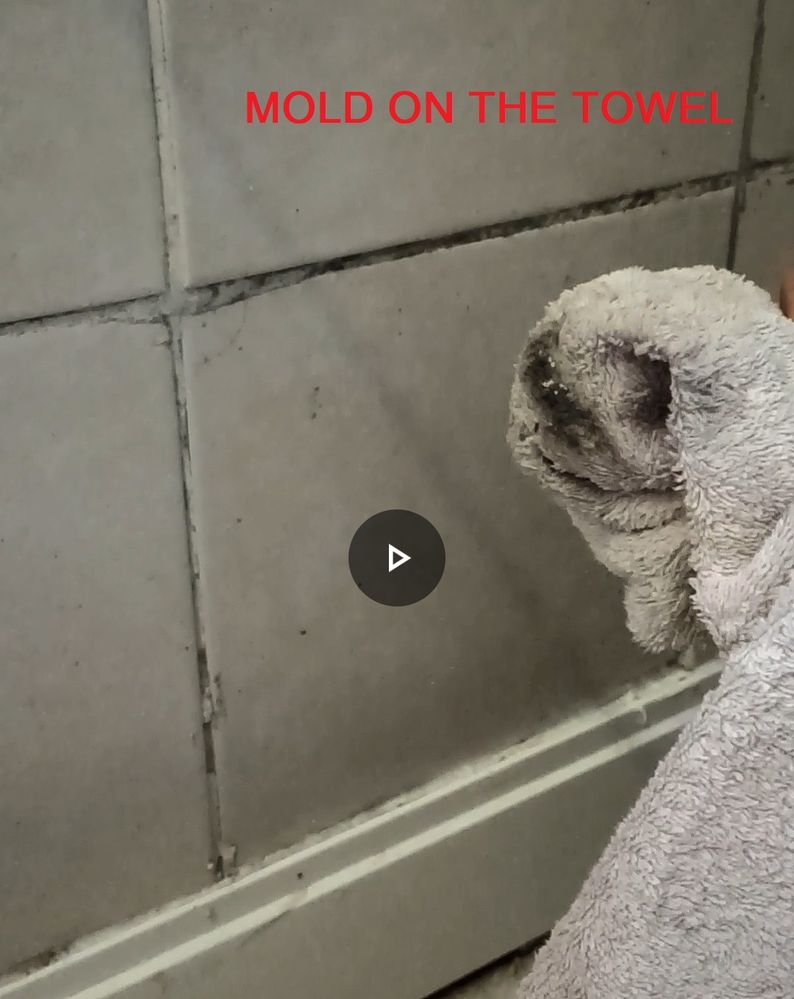 BATHROOM MOLD OFF..jpg