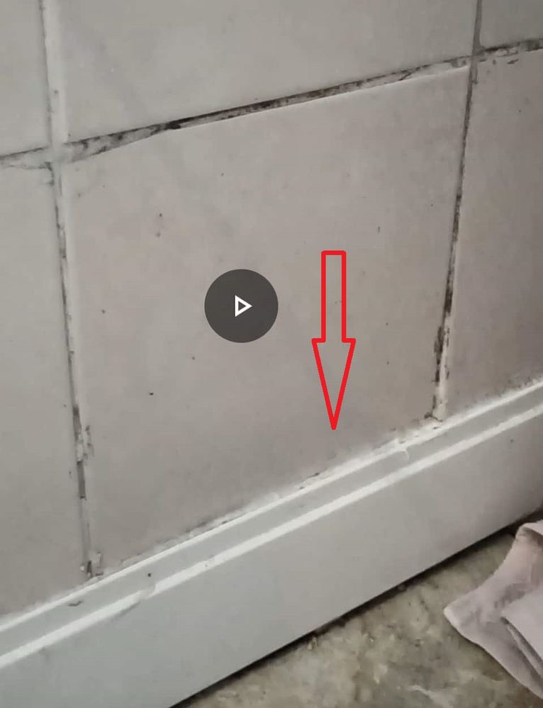 BATHROOM MOLD OFF.jpg