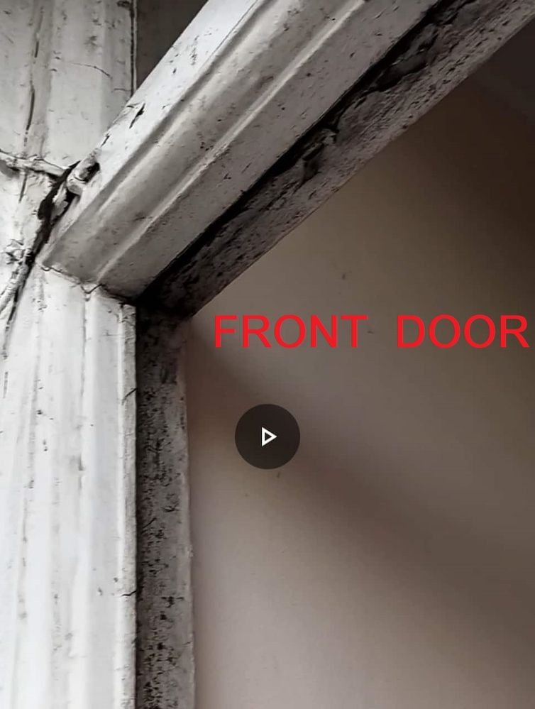FRONT DOOR MOLD.jpg