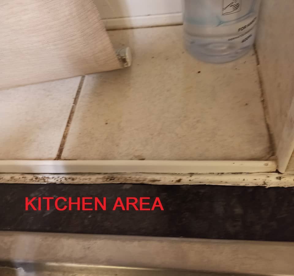 KITCHEN 5.jpg