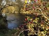 Bei Lebach am Fluss Theel