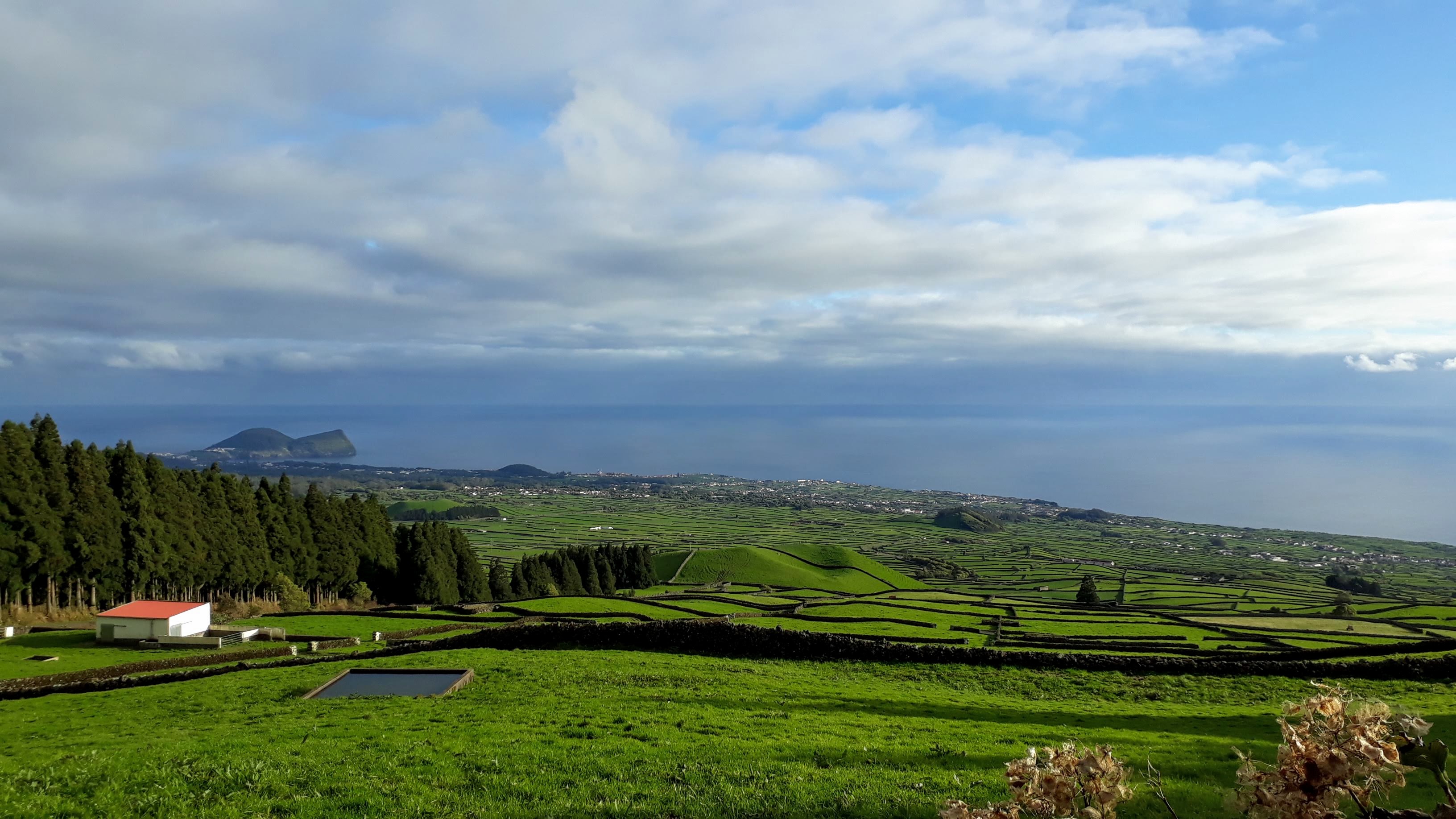 Açores Fev 2020.jpg