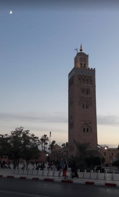 EssaouiraBeachlifeMoro0_15-1636751432424.png