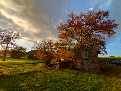 Le chêne en automne. Couleurs de fin d'après-midi.