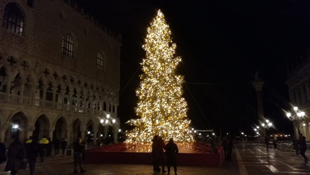 Venezia, l'albero in Piazza San Marco 1.2.jpg