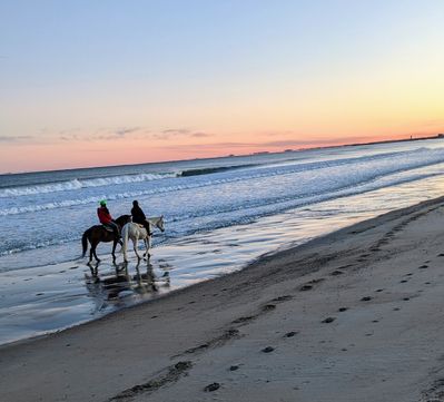 Horse lover's fantasy to ride on the beach :-)