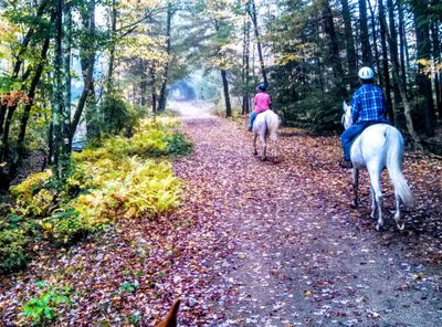 Bucolic fall festival of color on local trails