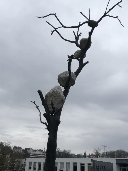 Noch vom Hochwasser der Saar ???