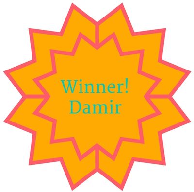 Winner Damir